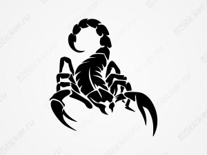 �������� �� ����������