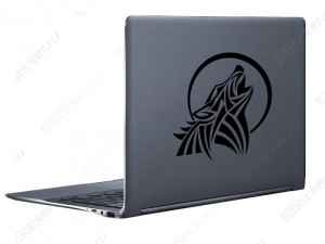 �������� �� ���� - ����