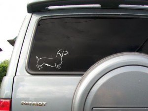 �������� - �����