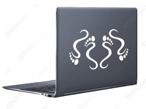 ������������ - ��� ���� ���