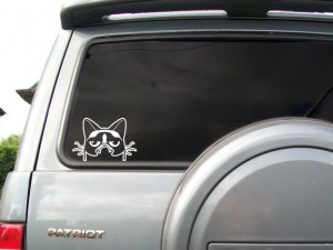 �������� - �������� ���