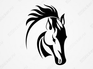 �������� - ����