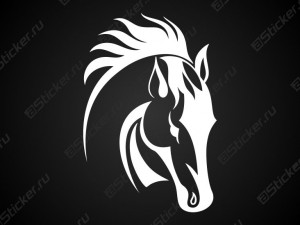 �������� - ����