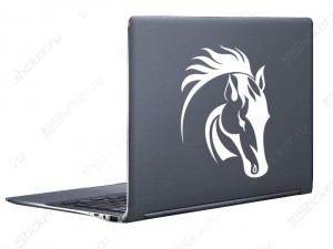 �������� - ����