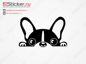 �������� - ������������� ������