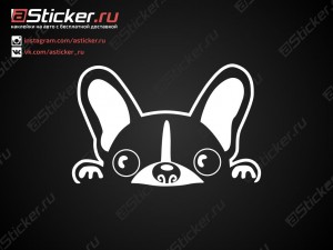 �������� - ������������� ������