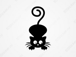 �������� - �����