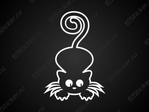 �������� - �����