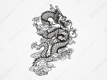 Киатйский дракон на авто